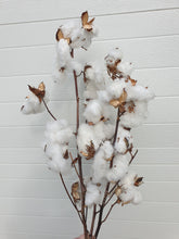 Load image into Gallery viewer, Cotton Bunch